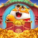 melhor horário para jogar fortune tiger de noite ícone